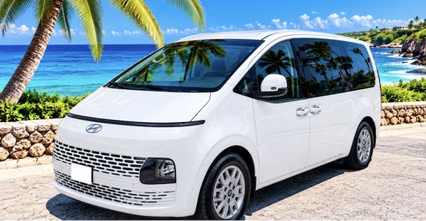 HYUNDAI STARIA ARUBA ( 12 personen )